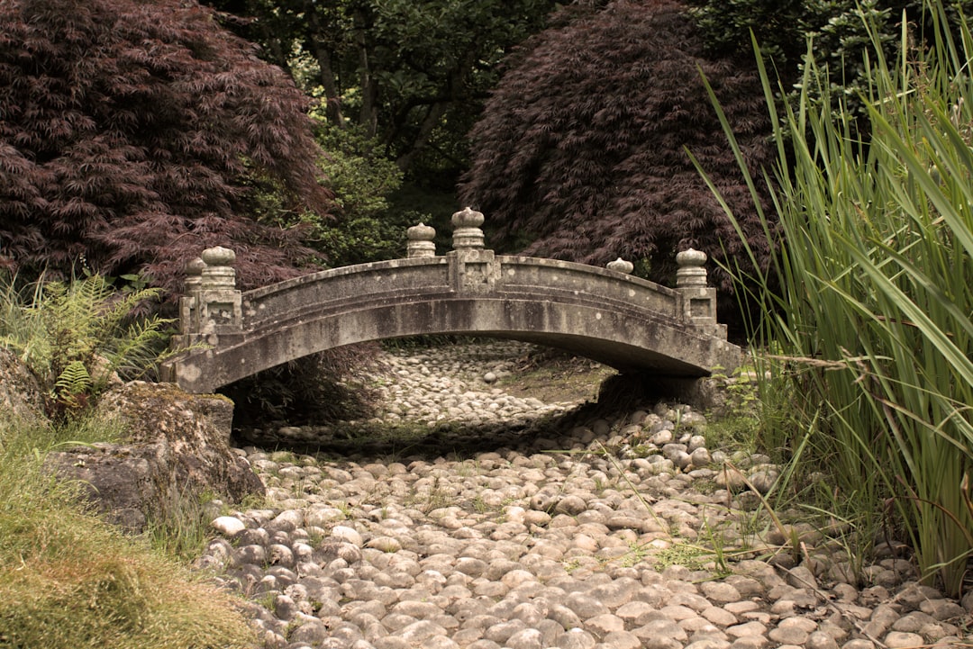 A stone bridge over a stream in a garden