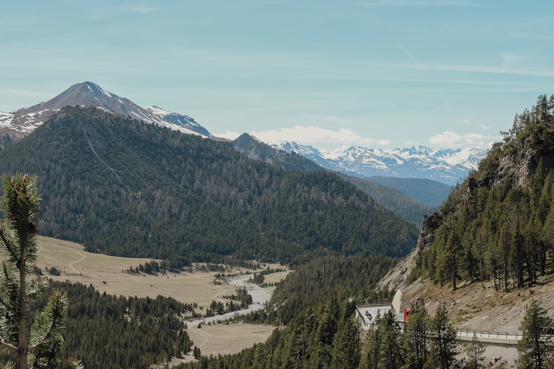 Scenic mountain valley with a river and vast evergreen forests